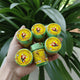Sticky Image