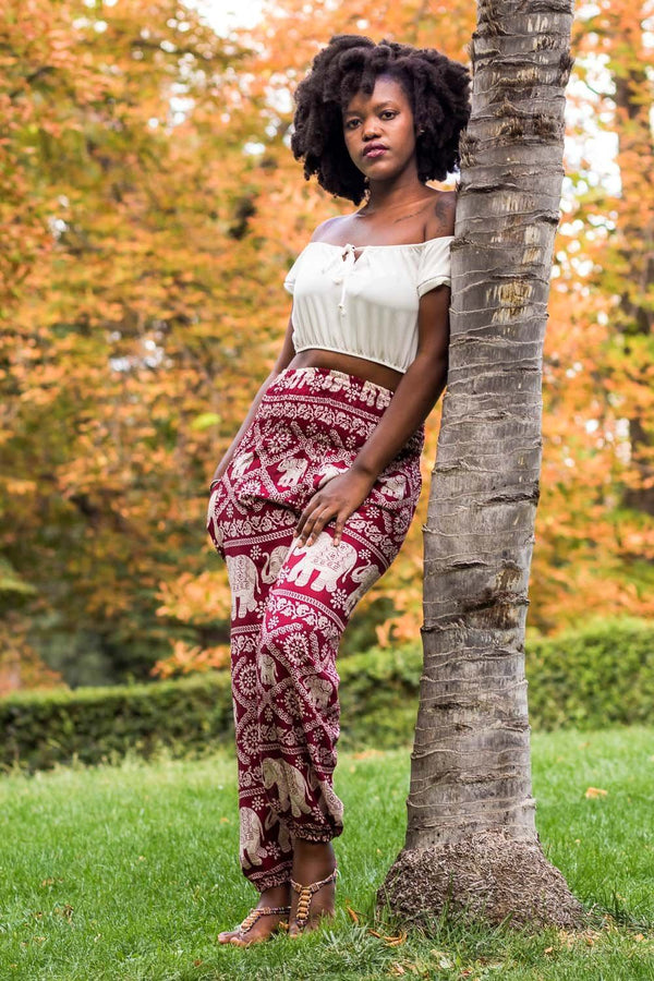 Red Fortune Pants