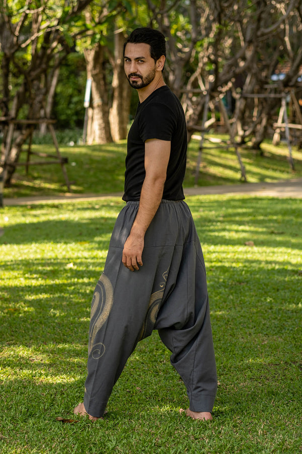 Gray Evolution Pants for men